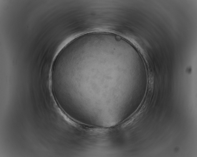 X0000097761294200803071246