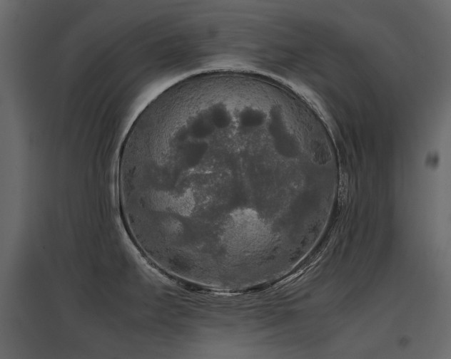 X0000097761295200803071246