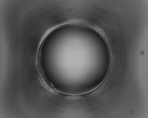 X0000097761296200803071246