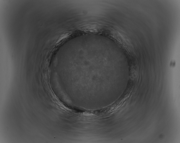 X0000097761297200803071245