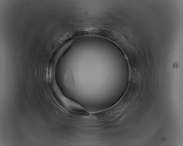 X0000097761298200803071245