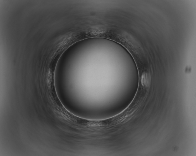 X0000097761299200803071245