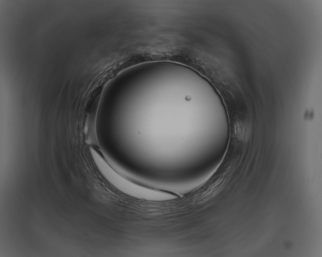 X0000097761300200803071245