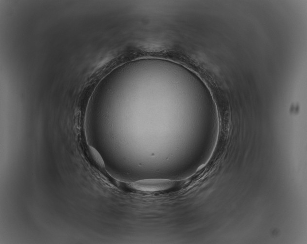 X0000097761301200803071245