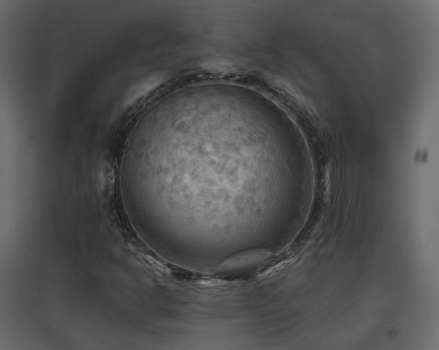X0000097761302200803071246