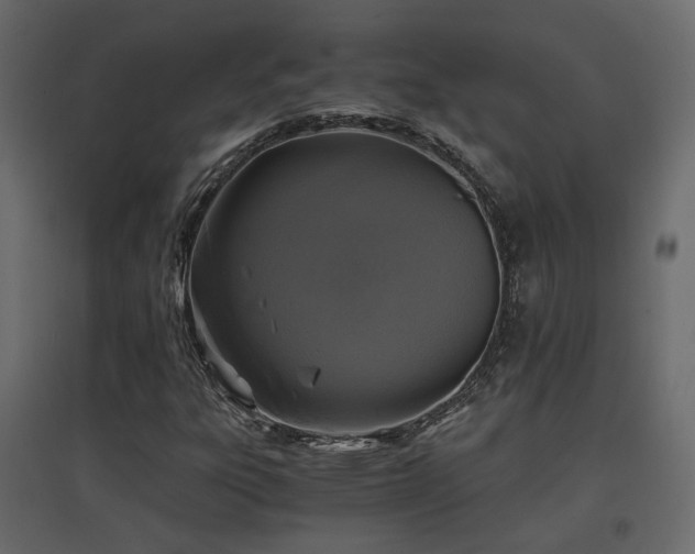 X0000097761303200803071246