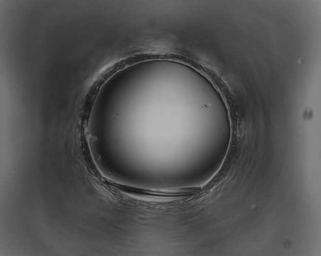 X0000097761304200803071246