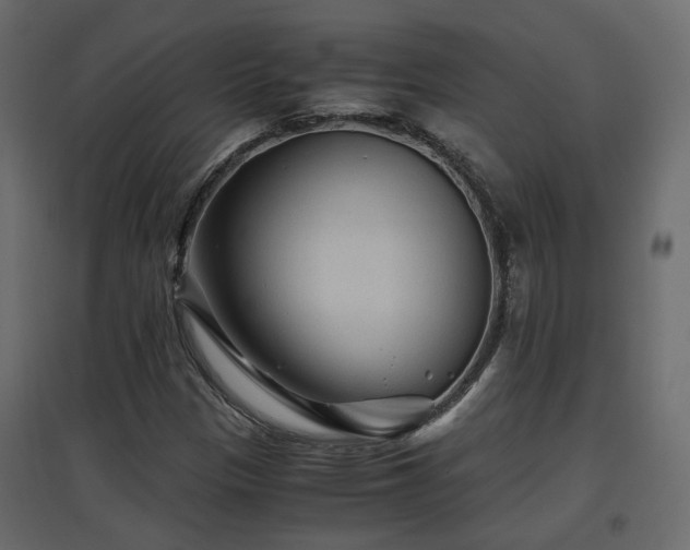 X0000097761305200803071246