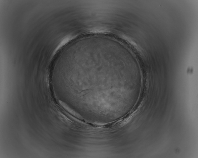 X0000097761306200803071246