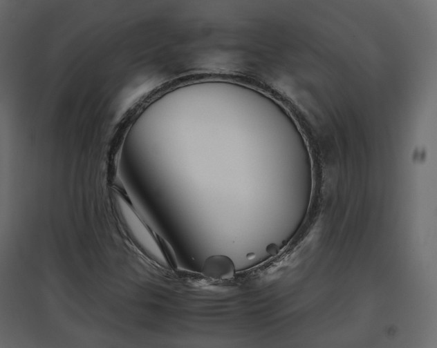 X0000097761307200803071246