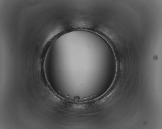 X0000097761309200803071246