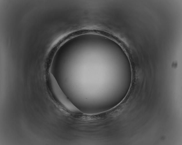 X0000097761311200803071246
