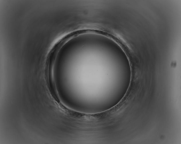 X0000097761312200803071246