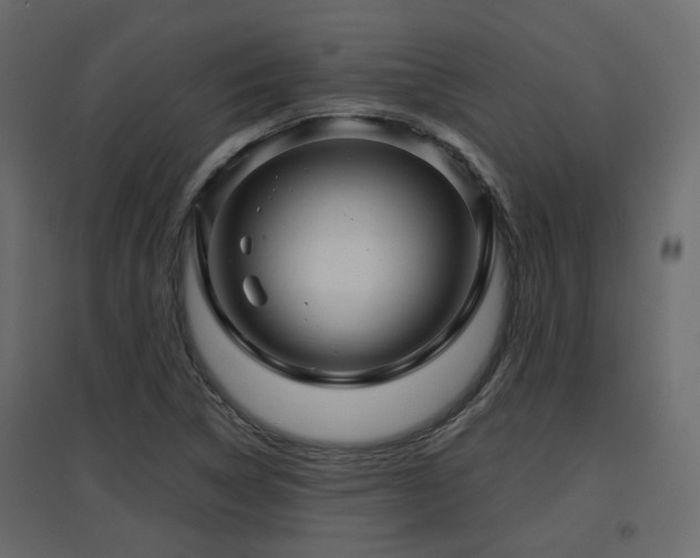 X0000097761314200803071246