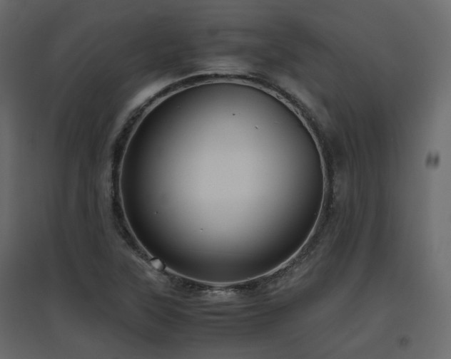 X0000097761315200803071246