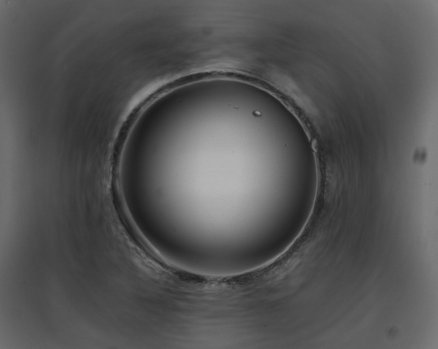 X0000097761316200803071246