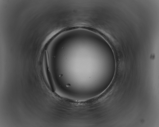 X0000097761317200803071246