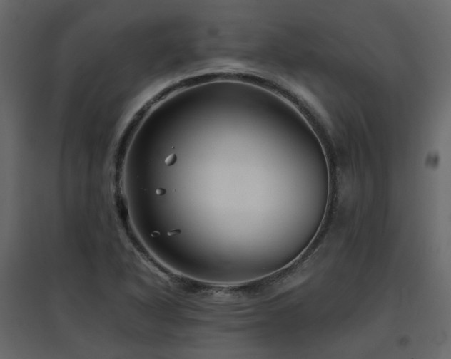 X0000097761318200803071246