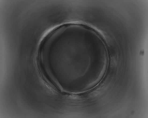 X0000097761319200803071246
