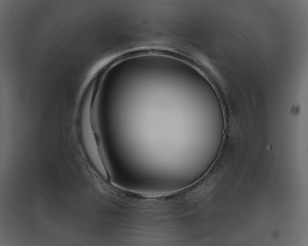 X0000097761320200803071246