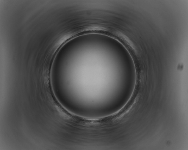 X0000097761321200803071246
