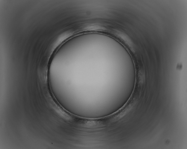 X0000097761322200803071246