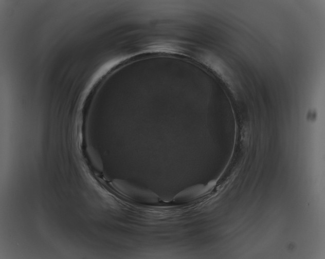 X0000097761323200803071246