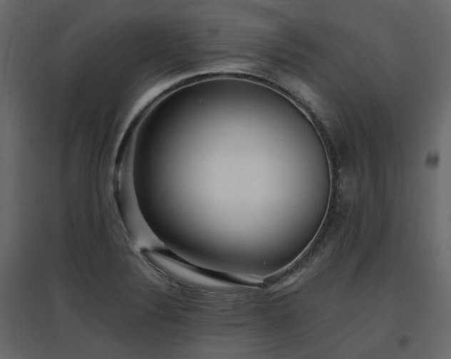 X0000097761324200803071246