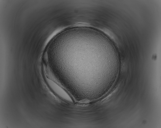X0000097761325200803071246