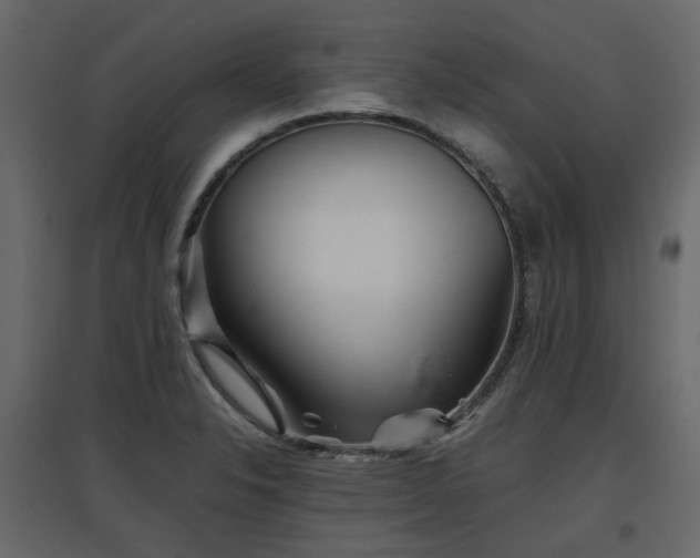 X0000097761326200803071246