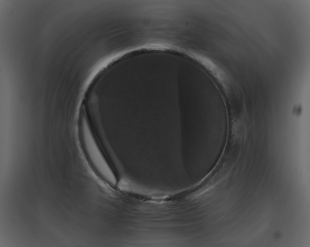 X0000097761327200803071246