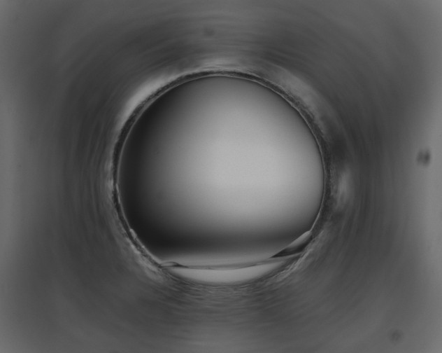 X0000097761328200803071246