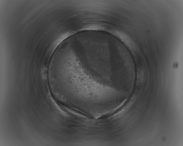 X0000097761329200803071246