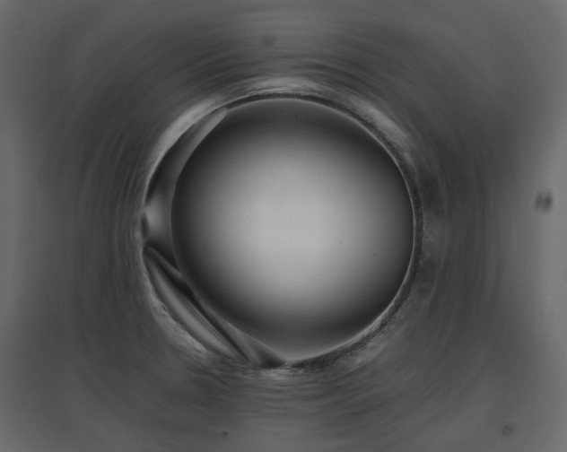 X0000097761330200803071246