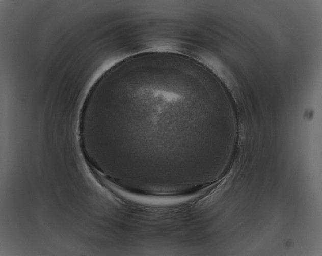 X0000097761331200803071246