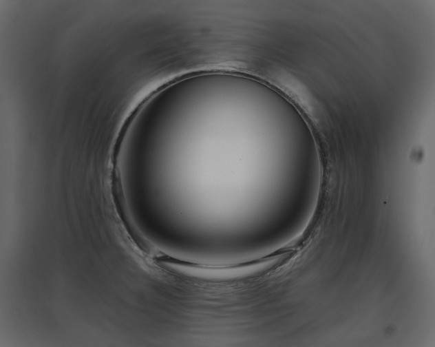 X0000097761332200803071246