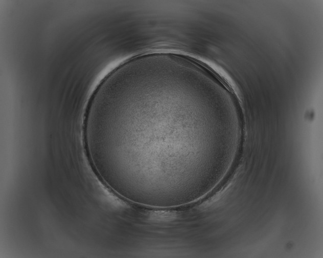 X0000097761333200803071246