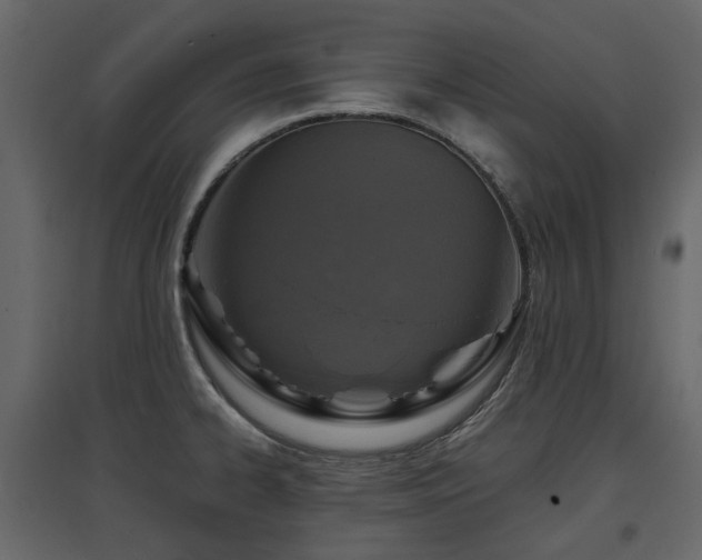 X0000097761334200803071246