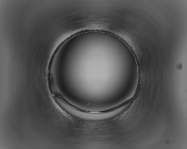 X0000097761335200803071246