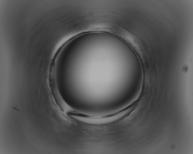 X0000097761336200803071246