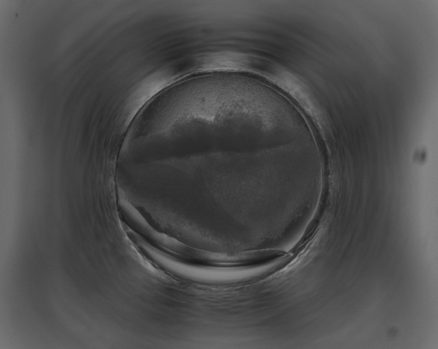X0000097761337200803071246