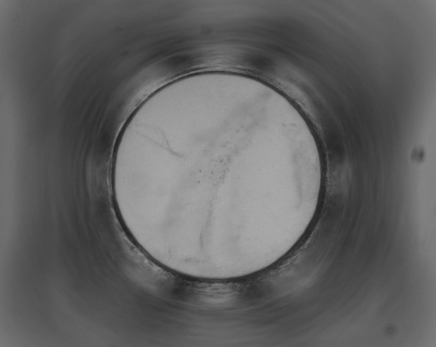 X0000097761338200803071246