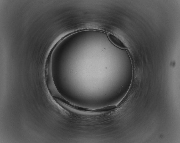 X0000097761339200803071246