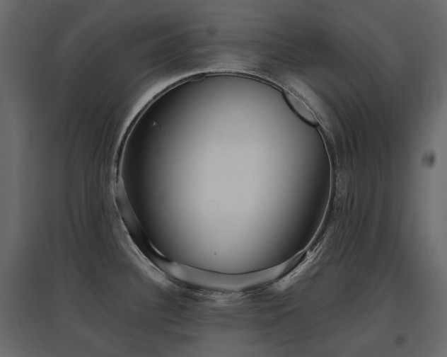 X0000097761340200803071246