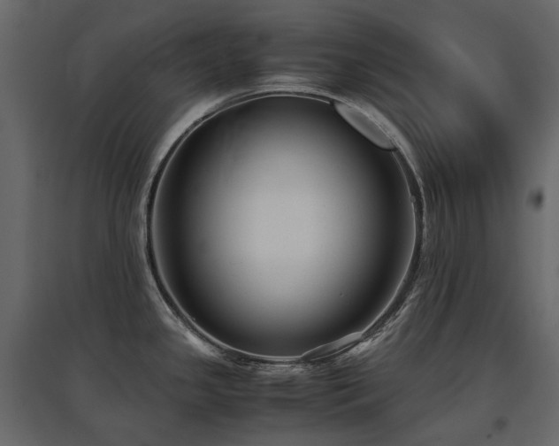 X0000097761341200803071246