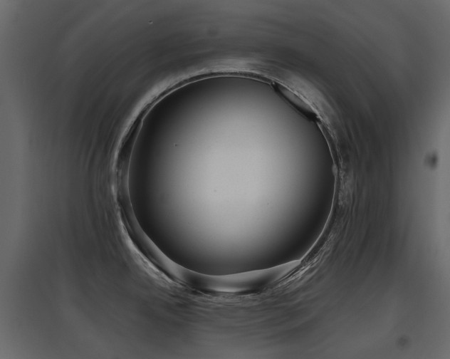 X0000097761342200803071246