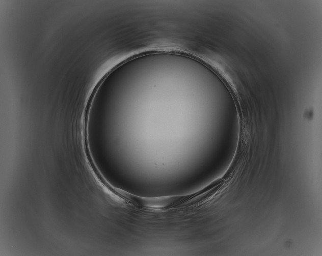 X0000097761343200803071246