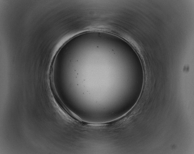 X0000097761344200803071246