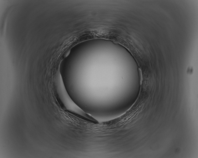 X0000097761345200803071245