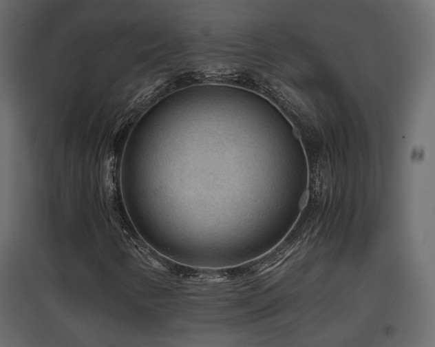 X0000097761346200803071245